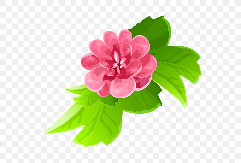 Cut Flowers Color Floral Design Clip Art, PNG, 555x555px, Flower, Annual Plant, Art, Color, Cut Flowers Download Free
