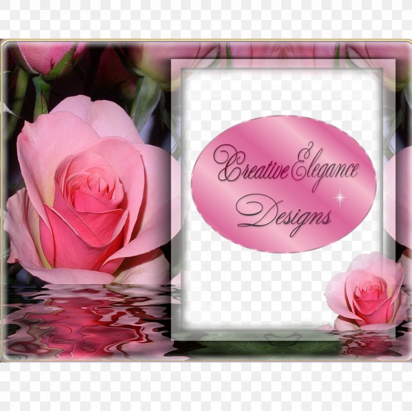Garden Roses Wisdom Floral Design Greeting & Note Cards Petal, PNG, 1600x1600px, Garden Roses, Floral Design, Floristry, Flower, Flower Arranging Download Free
