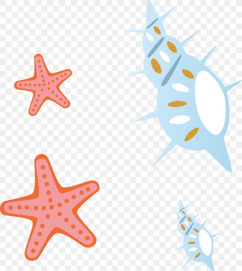 Starfish Clip Art, PNG, 878x983px, Starfish, Cartoon, Drawing, Marine Invertebrates, Orange Download Free