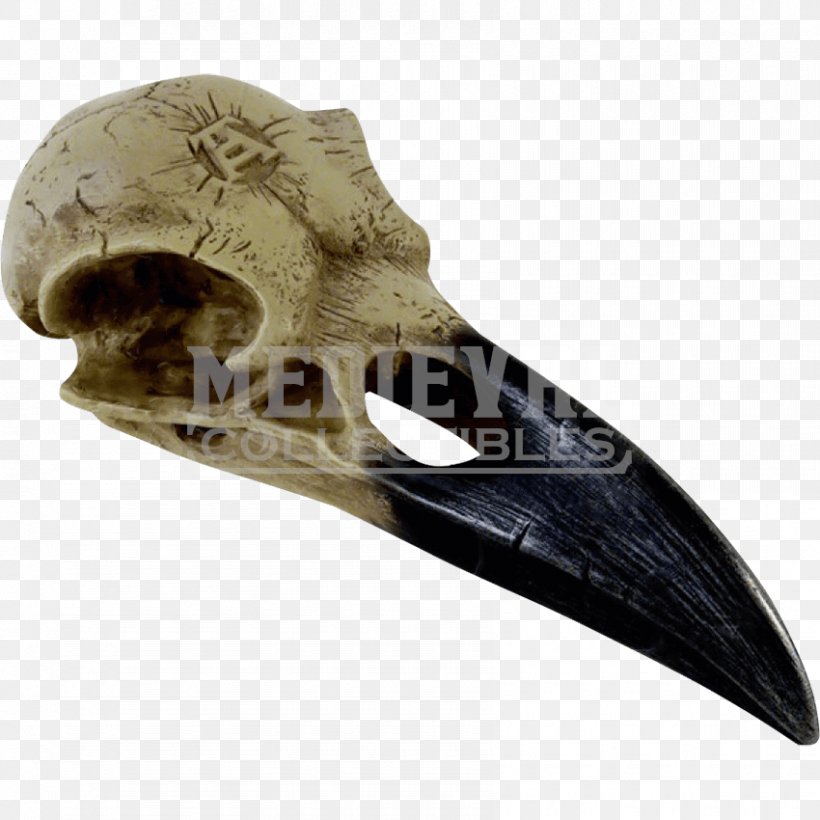 The Raven Skull Common Raven Alchemy Crane, PNG, 850x850px, Raven, Alchemy, Bird, Bone, Common Raven Download Free