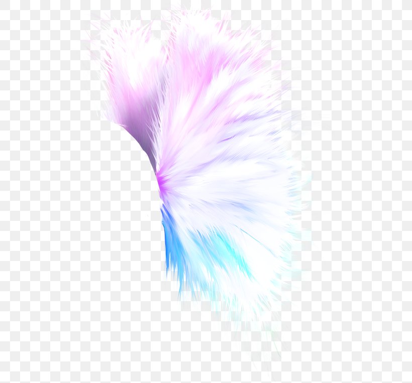 Feather Idea Pinnwand, PNG, 533x763px, Feather, Aile, Art, Chart, Close Up Download Free