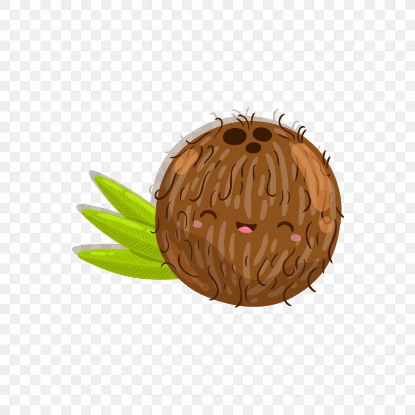 Fruit Coconut Drawing Cartoon, PNG, 1600x1600px, Fruit, Animation, Auglis, Cartoon, Coconut Download Free