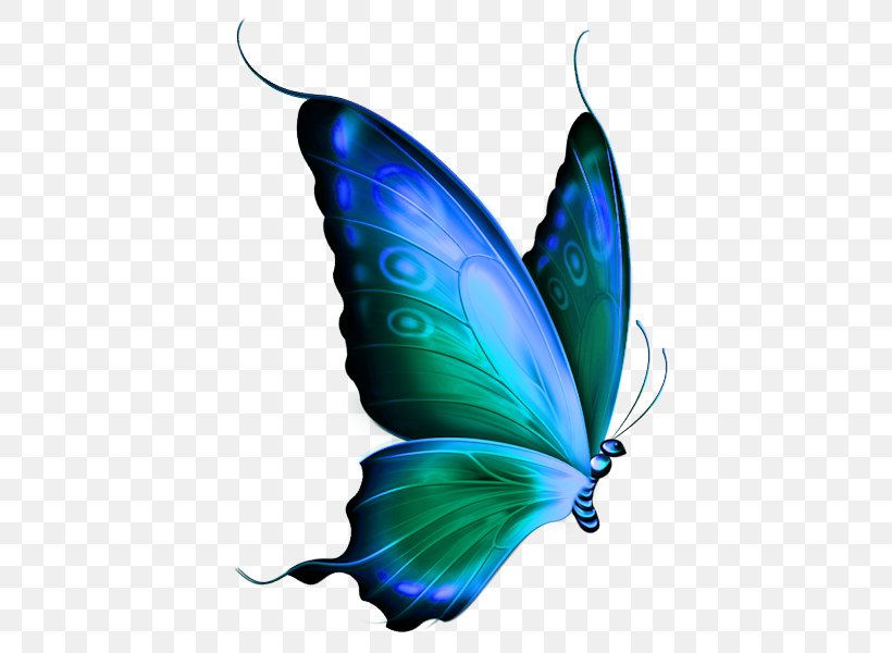 Glasswing Butterfly Papillon Dog Clip Art, PNG, 469x600px, Butterfly, Arthropod, Blue, Butterflies And Moths, Color Download Free