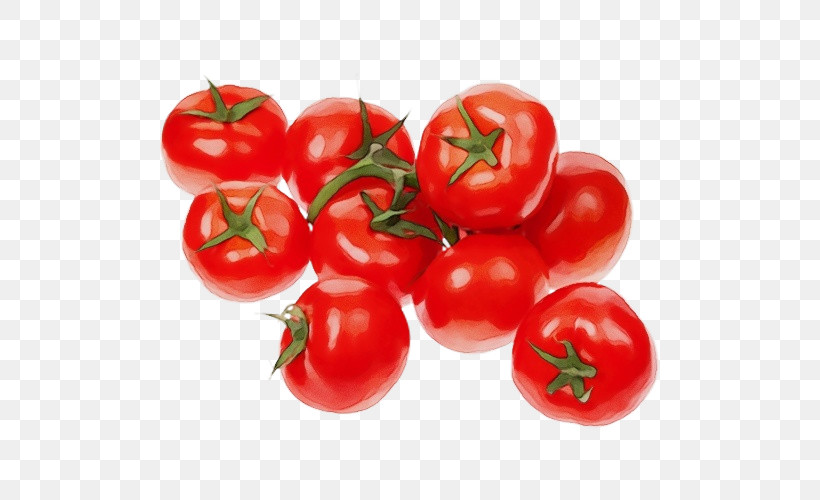 Tomato, PNG, 500x500px, Watercolor, Bush Tomato, Cherry, Cherry Tomatoes, Flower Download Free