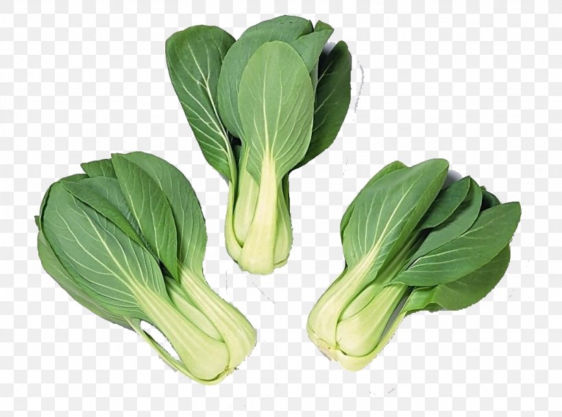 Bok Choy Brassica Juncea Napa Cabbage Vegetable Chinese Cabbage, PNG, 1024x761px, Watercolor, Cartoon, Flower, Frame, Heart Download Free
