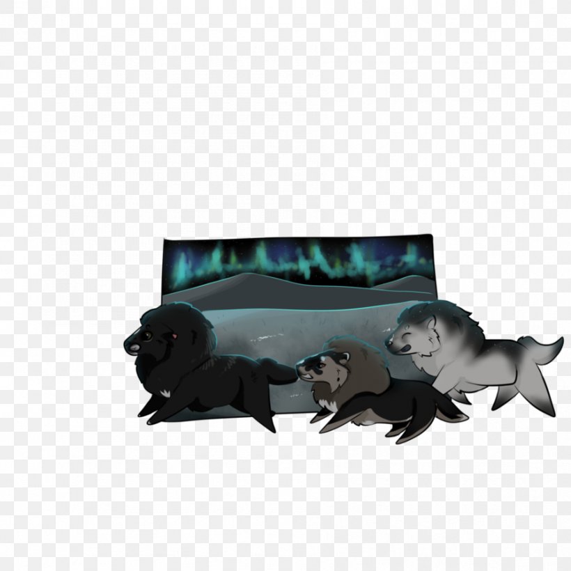 Canidae Dog Desktop Wallpaper Snout, PNG, 894x894px, Canidae, Computer, Dog, Dog Like Mammal, Mammal Download Free