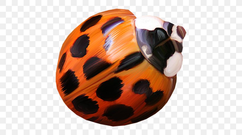 Ladybird Coccinella Septempunctata Clip Art, PNG, 500x459px, Ladybird, Animal, Carnivoran, Cartoon, Coccinella Septempunctata Download Free