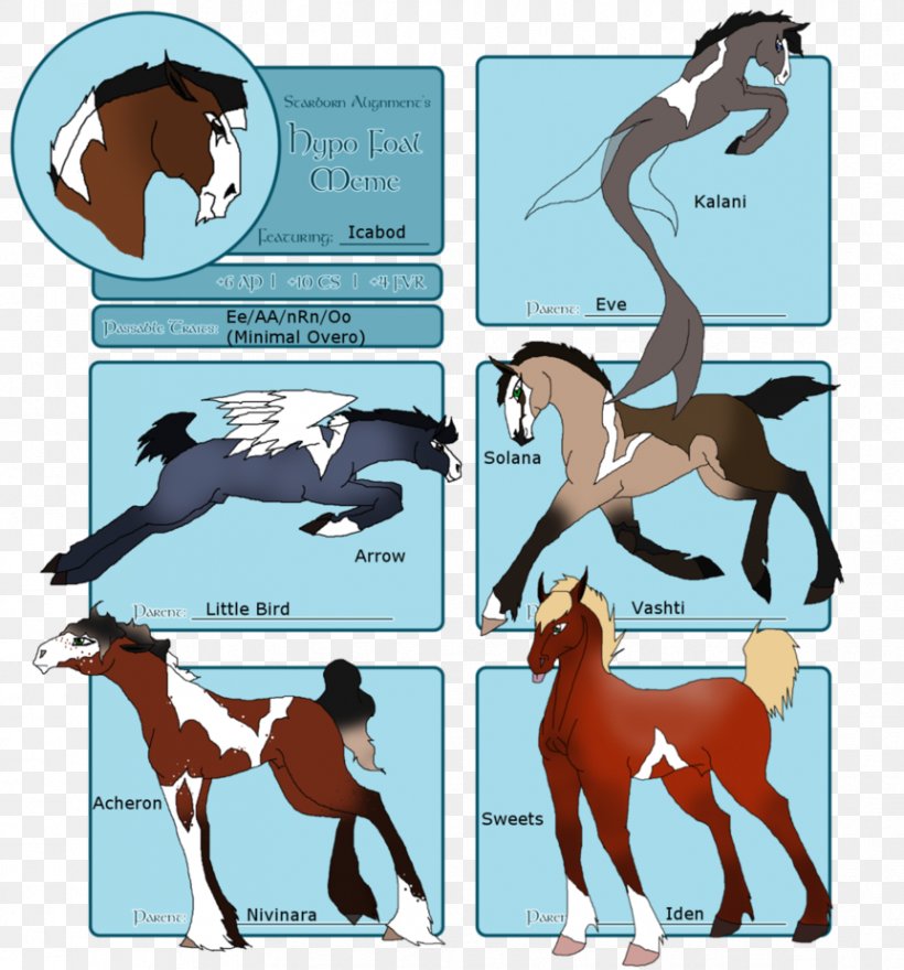 Mustang Foal Stallion Pony Halter, PNG, 862x926px, Mustang, Area, Behavior, Cartoon, Colt Download Free