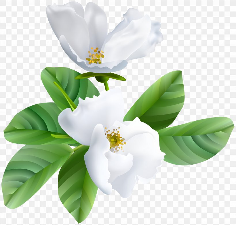 Nowruz Flower Tabrik New Year Spring, PNG, 6000x5736px, Nowruz, Blossom, Cherry Blossom, Eid Mubarak, Flower Download Free