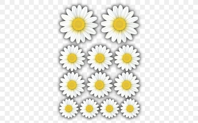 Oxeye Daisy Chrysanthemum Roman Chamomile Floral Design Cut Flowers, PNG, 510x510px, Oxeye Daisy, Chamaemelum Nobile, Chamomiles, Chrysanthemum, Chrysanths Download Free