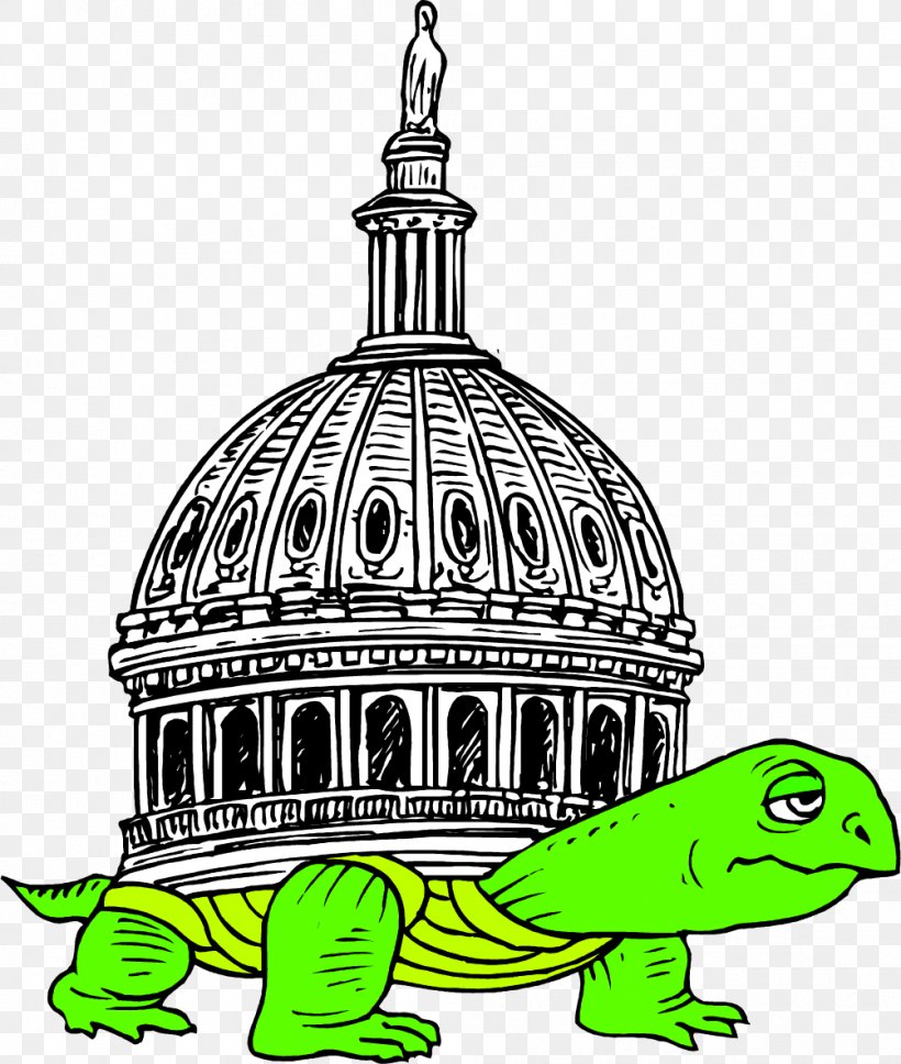Painted Turtle Tortoise, PNG, 1003x1185px, Turtle, Animal, Cartoon, Dome, Facade Download Free
