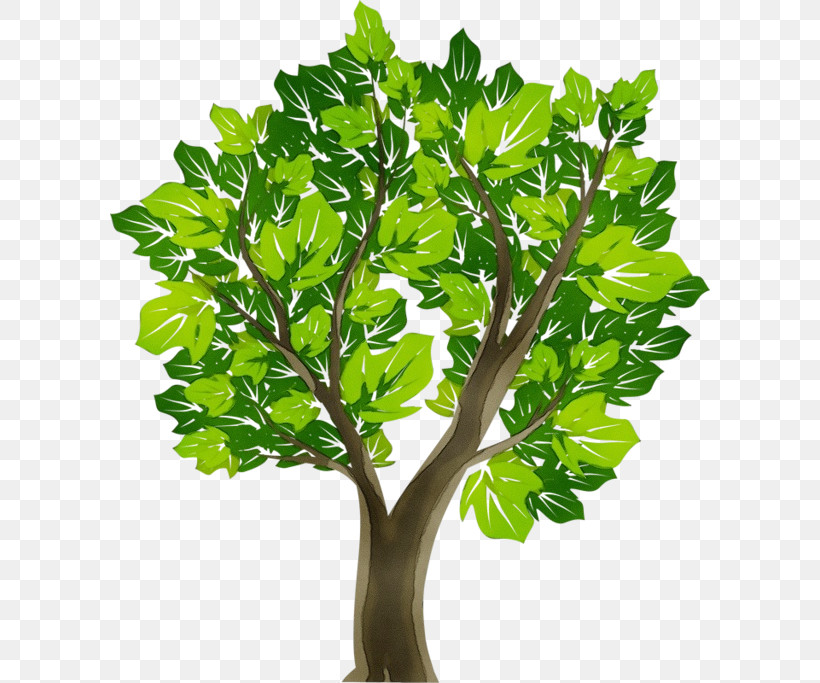 Tree Oak Hardwood Branch Plants, PNG, 600x683px, Watercolor, Branch, Hardwood, Oak, Paint Download Free