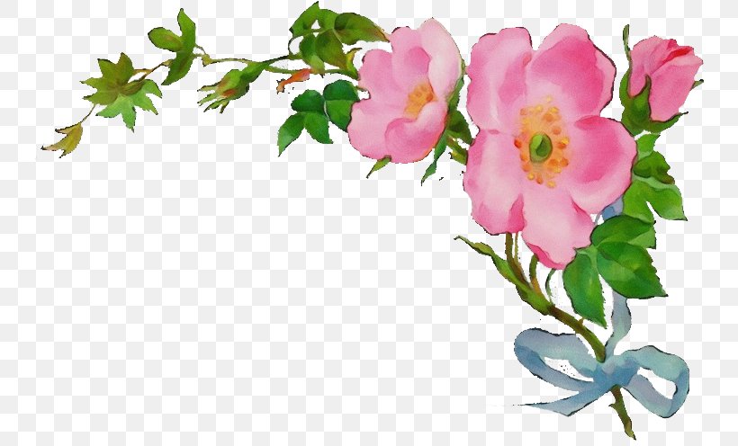 Watercolor Floral Background, PNG, 746x496px, Watercolor, Botany, Branch, Cut Flowers, Drawing Download Free