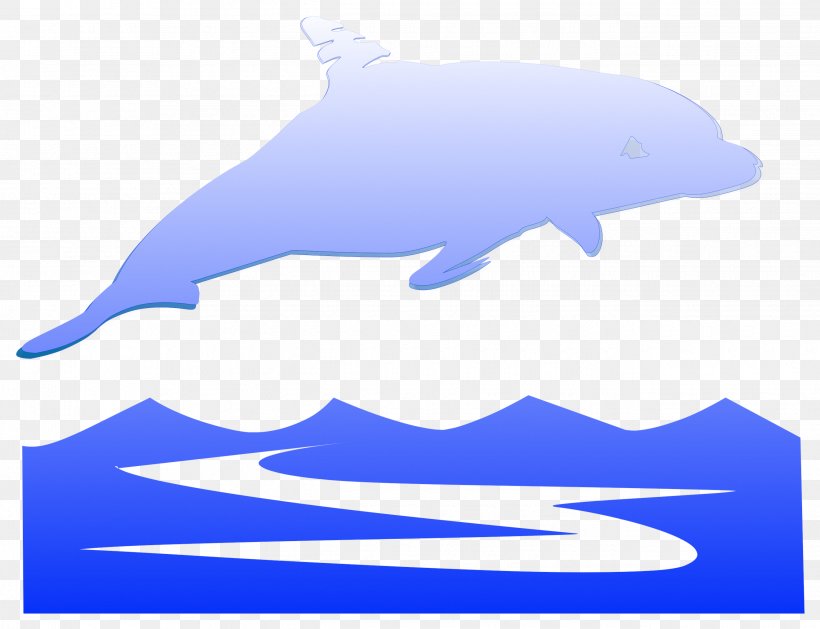Common Bottlenose Dolphin Tucuxi Porpoise Marine Mammal, PNG, 2645x2030px, Common Bottlenose Dolphin, Animal, Blue, Bottlenose Dolphin, Cetacea Download Free