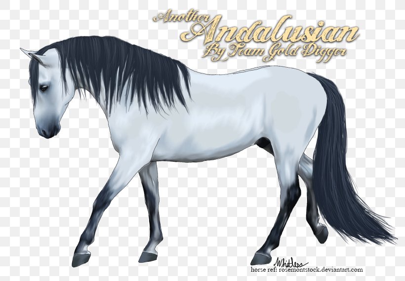Mustang Stallion Mare Halter Rein, PNG, 798x570px, 2019 Ford Mustang, Mustang, Bridle, Colt, Fictional Character Download Free