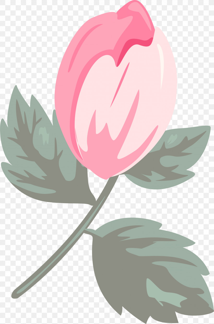 Pink Leaf Flower Tulip Plant, PNG, 2342x3551px, Pink Rose, Flower, Leaf, Petal, Pink Download Free