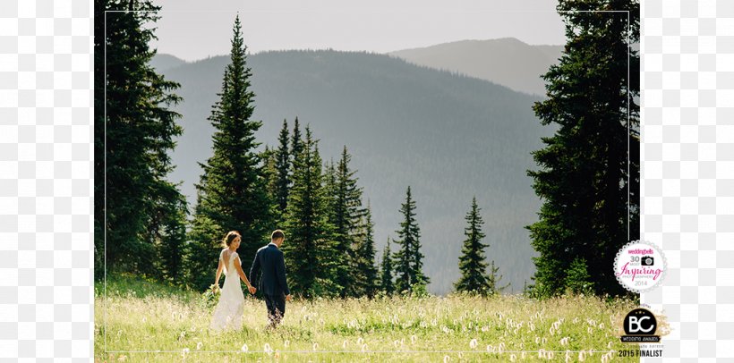 Wedding Photography Bride Photographer, PNG, 1022x507px, Wedding Photography, Bride, Bridegroom, British Columbia, Ecosystem Download Free