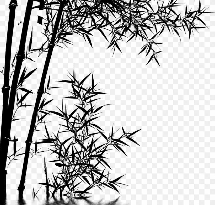 Bamboo Curtain Bedroom Willow, PNG, 1512x1440px, Bamboo, American Larch, Bed, Bedroom, Blackandwhite Download Free