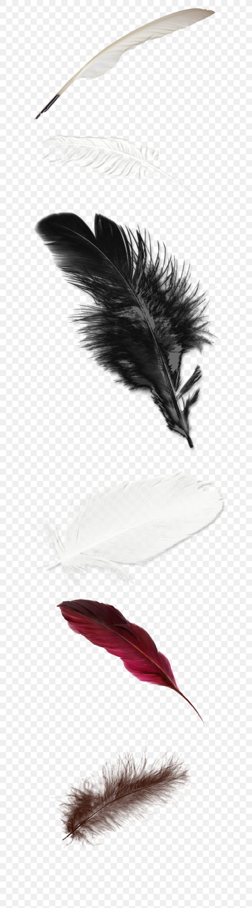 Feather White Wallpaper, PNG, 658x2946px, Feather, Gratis, Links, Pink, Quill Download Free
