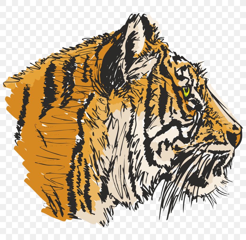 Tiger Clip Art, PNG, 800x800px, Tiger, Art, Big Cats, Canvas Print, Carnivoran Download Free