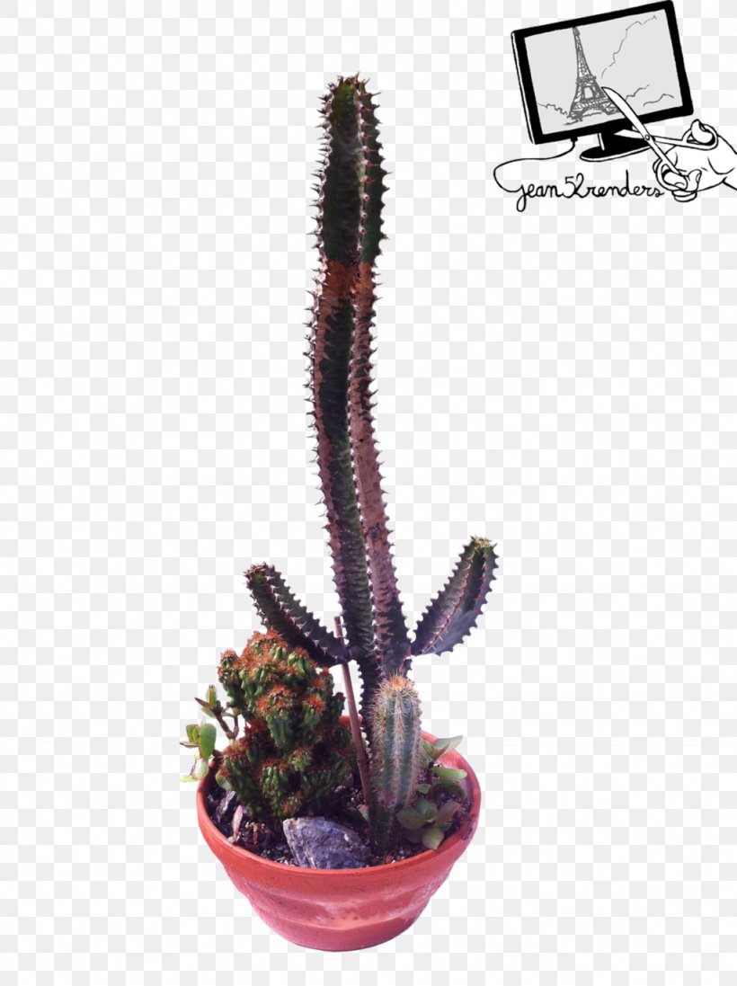Citroën Cactus M Flowerpot, PNG, 1024x1371px, Flowerpot, Cactus, Caryophyllales, Flowering Plant, Plant Download Free