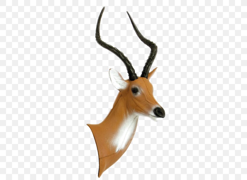 Impala Gazelle Horn Chunk Africa, PNG, 600x600px, Impala, Africa, Antelope, Antler, Archery Download Free