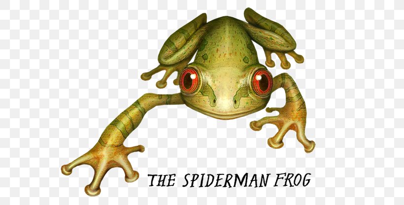True Frog Spider-Man Crazy Monster Frogs Amphibians, PNG, 700x416px, Frog, Amphibian, Amphibians, Animal, Art Download Free