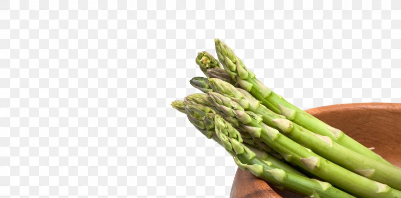 Asparagus Stock Photography Tea Food, PNG, 1600x792px, Asparagus, Broccoletto, Depositphotos, Food, Green Bean Download Free