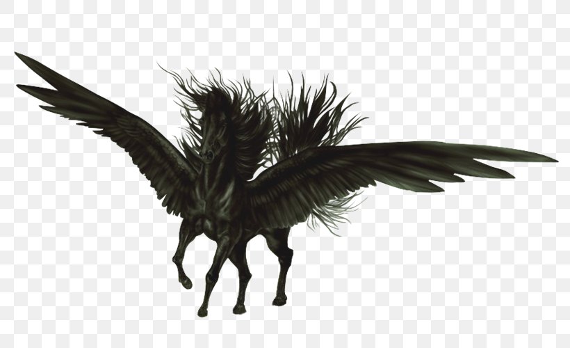 Flying Horses Pegasus Aile Black, PNG, 800x500px, Horse, Aile, Animal, Black, Demon Download Free