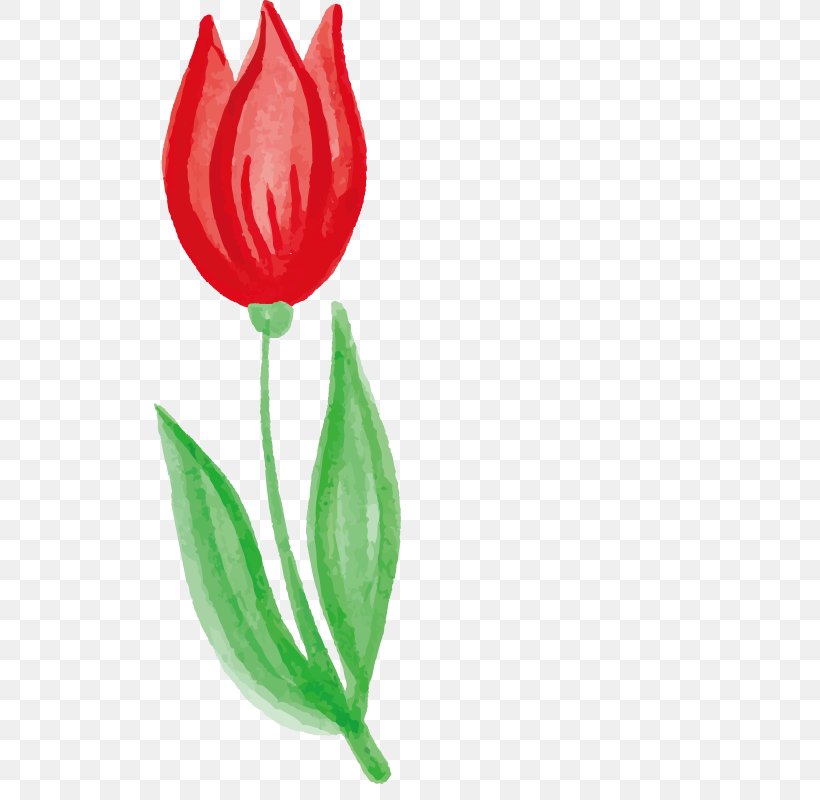 Painting, PNG, 800x800px, Painting, Bud, Cut Flowers, Drawing, Flower ...
