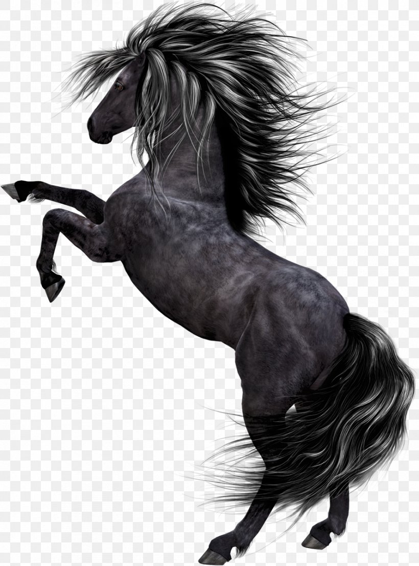 Horse Pony Black, PNG, 889x1200px, Horse, Black, Black And White, Bridle, Fictional Character Download Free