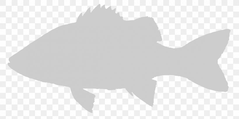 Marine Mammal Silhouette Cartoon White Font, PNG, 1200x600px, Marine Mammal, Black, Black And White, Black M, Cartoon Download Free