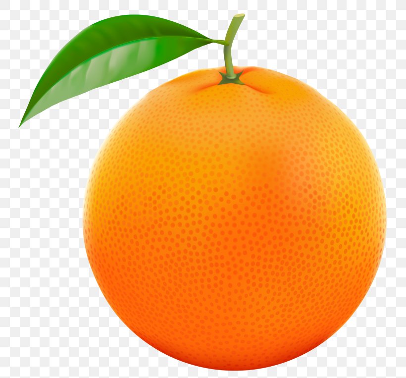 Orange Clip Art, PNG, 768x763px, Orange, Bitter Orange, Citric Acid, Citrus, Clementine Download Free