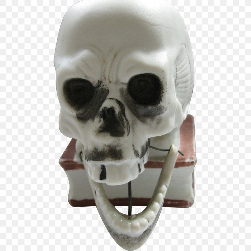 Skull Skeleton, PNG, 1460x1460px, Skull, Bone, Jaw, Skeleton, Snout Download Free