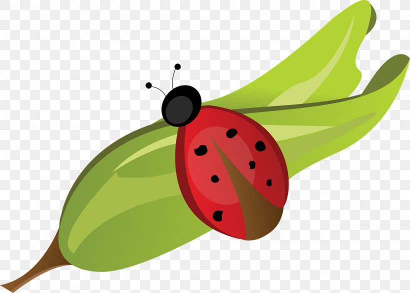 Beetle Ladybird Pixabay, PNG, 1280x915px, Beetle, Food, Fruit, Insect, Invertebrate Download Free