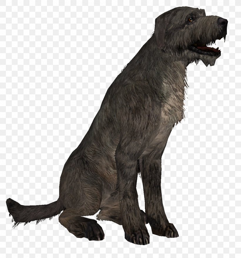 Dog Breed The Elder Scrolls V: Skyrim Irish Wolfhound Puppy Scottish Deerhound, PNG, 1144x1222px, Dog Breed, Breed, Breed Group Dog, Cane Corso, Carnivoran Download Free