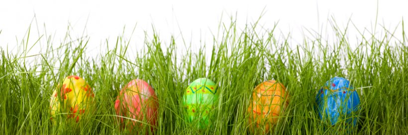 Easter Bunny Red Easter Egg Egg Hunt, PNG, 1014x337px, Easter Bunny, Chinese Red Eggs, Chocolate Bunny, Commodity, Easter Download Free