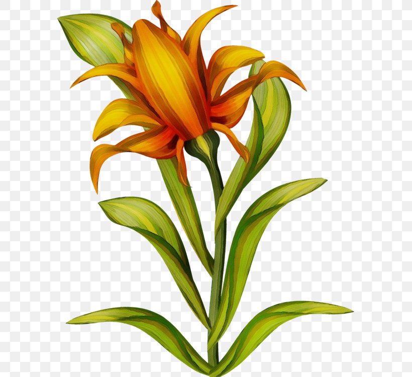 Floristry Cut Flowers Jersey Lily Plant Stem Herbaceous Plant, PNG, 591x750px, Floristry, Amaryllis, Belladonna, Botany, Cut Flowers Download Free