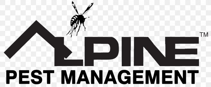 Alpine Pest Management Insect Logo Alpine Pest Control Management Varied Carpet Beetle, PNG, 1000x413px, Insect, Bait, Bed Bug, Bend, Beneficial Insects Download Free