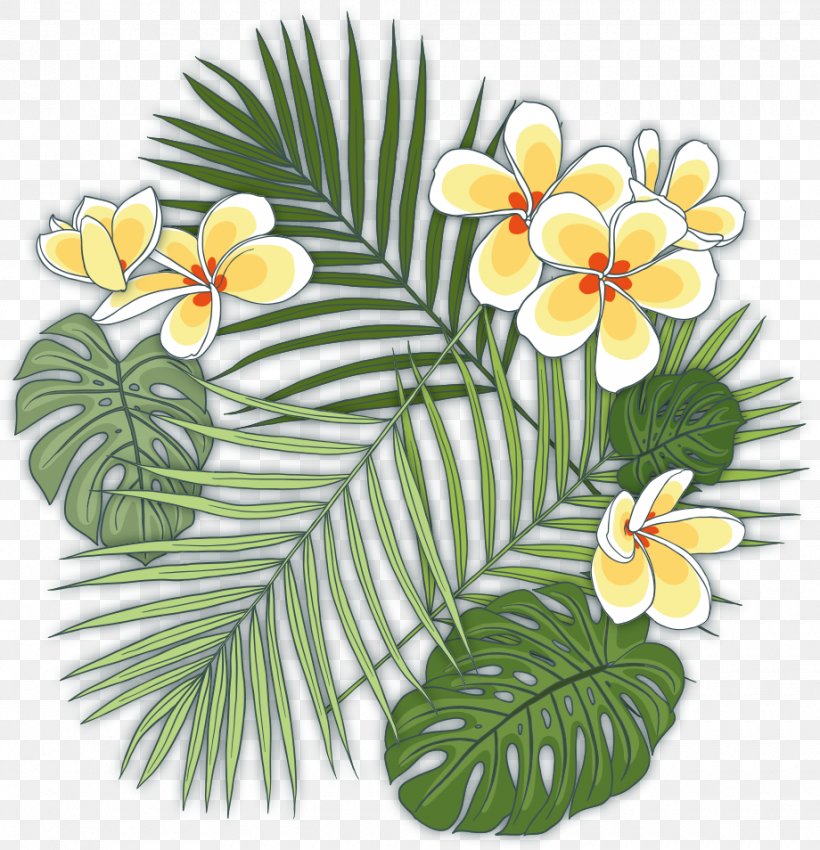 Caryota Urens Howea Forsteriana Plant Tropics, PNG, 920x954px, Caryota Urens, Caryota, Flora, Floral Design, Floristry Download Free