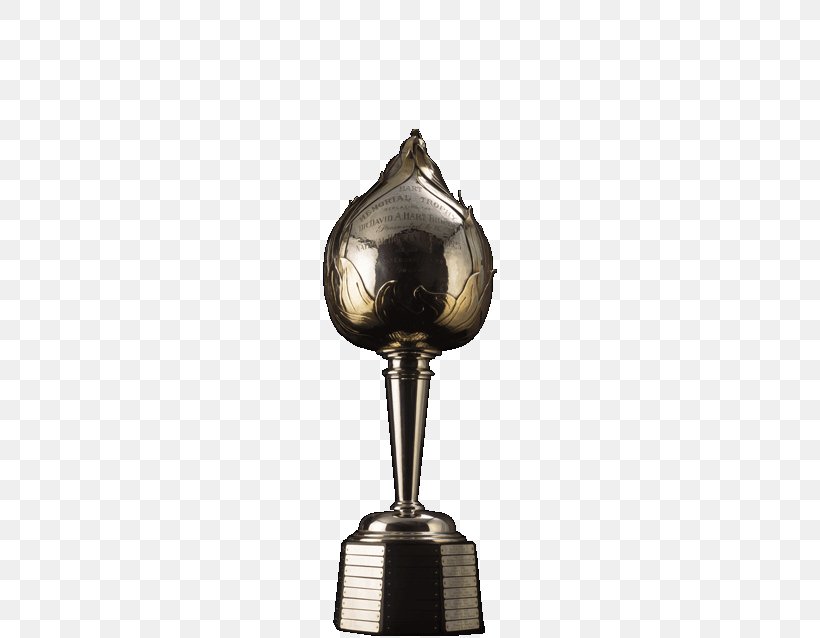 National Hockey League Hart Memorial Trophy Pittsburgh Penguins Art Ross Trophy, PNG, 532x638px, National Hockey League, Alexander Ovechkin, Art Ross Trophy, Award, Brass Download Free