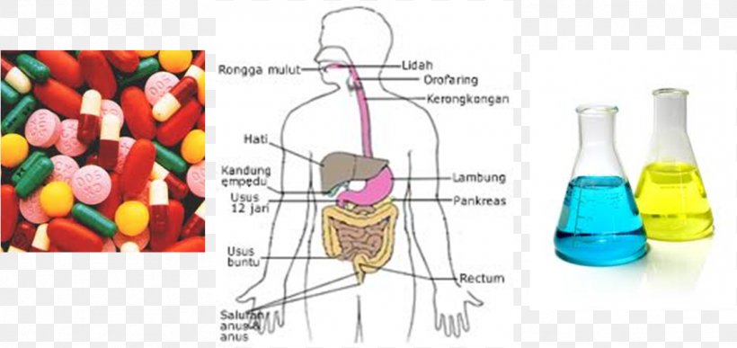 Antimicrobial Penicillin Tetracycline Antibiotics Aminoglycoside, PNG, 1114x527px, Antimicrobial, Aminoglycoside, Antibiotics, Bottle, Cephalosporin Download Free