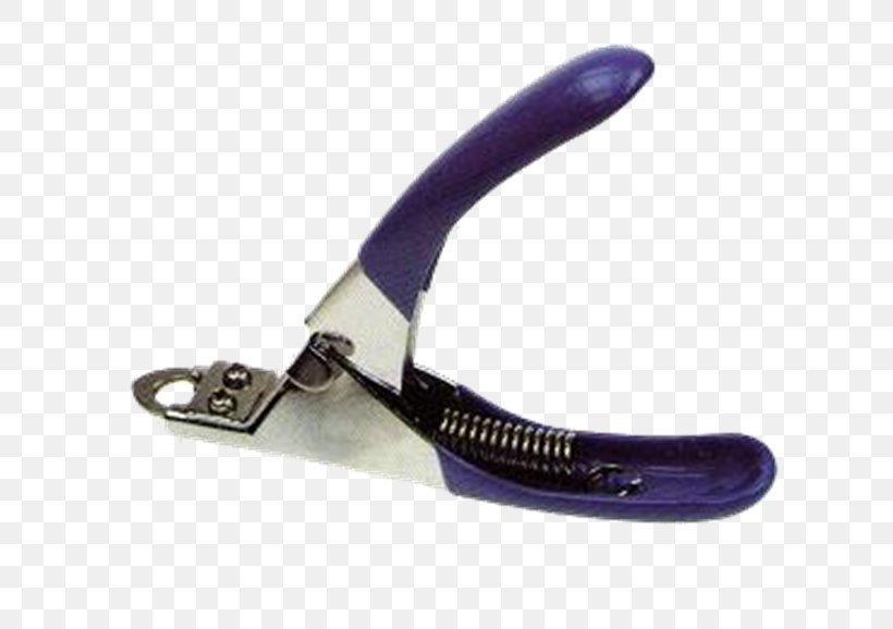 Diagonal Pliers Nail Clippers Dogo Argentino Cutting, PNG, 640x578px, Diagonal Pliers, Cutting, Cutting Tool, Dog, Dogo Argentino Download Free