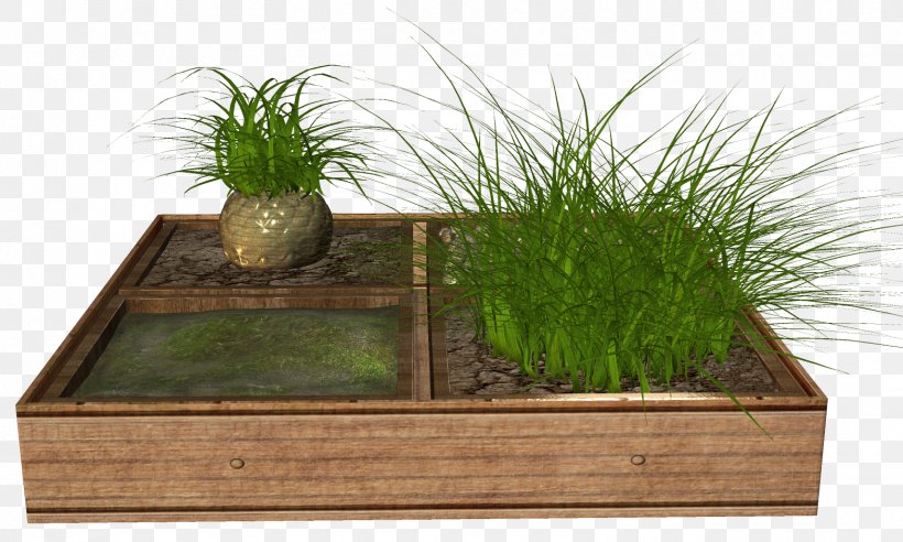 Flowerpot Plant, PNG, 1570x942px, Flower, Flowerpot, Grass, Grass Family, Grasses Download Free