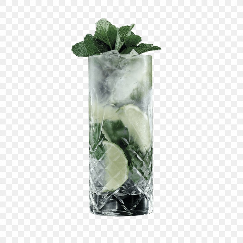 Highball Glass Mojito Vodka Tonic Gin And Tonic, PNG, 1024x1024px, Highball Glass, Cocktail, Drink, Frederik Bagger, Gift Download Free
