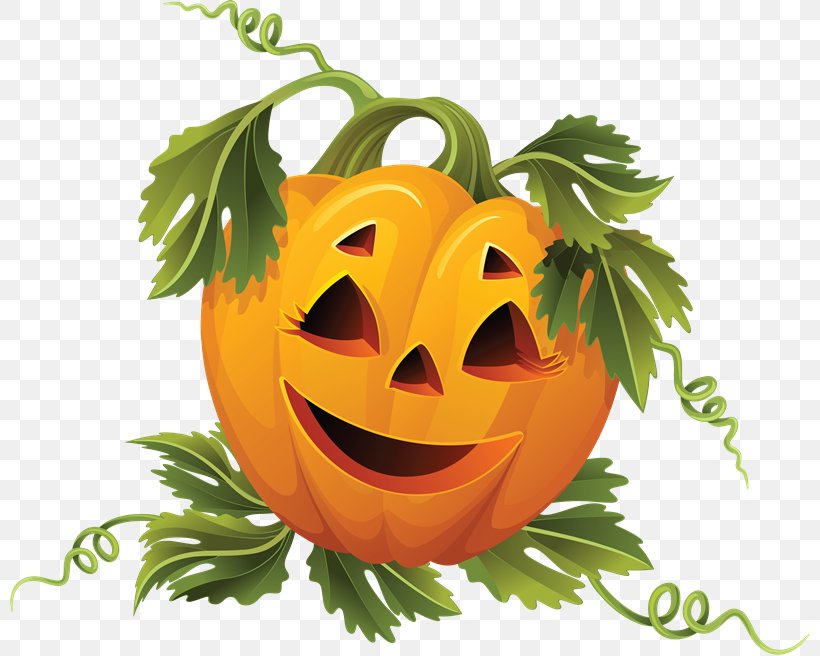 Jack-o'-lantern Pumpkin Halloween Winter Squash Clip Art, PNG, 800x656px, Pumpkin, Calabaza, Costume, Cucurbita, Day Of The Dead Download Free