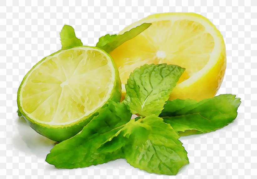 Lemon-lime Drink Key Lime Food Fruit, PNG, 1774x1238px, Lemon, Citric Acid, Citrus, Citrus Fruit, Diet Download Free