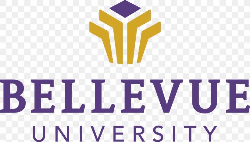 bellevue-university-bellevue-bruins-women-s-basketball-online-degree