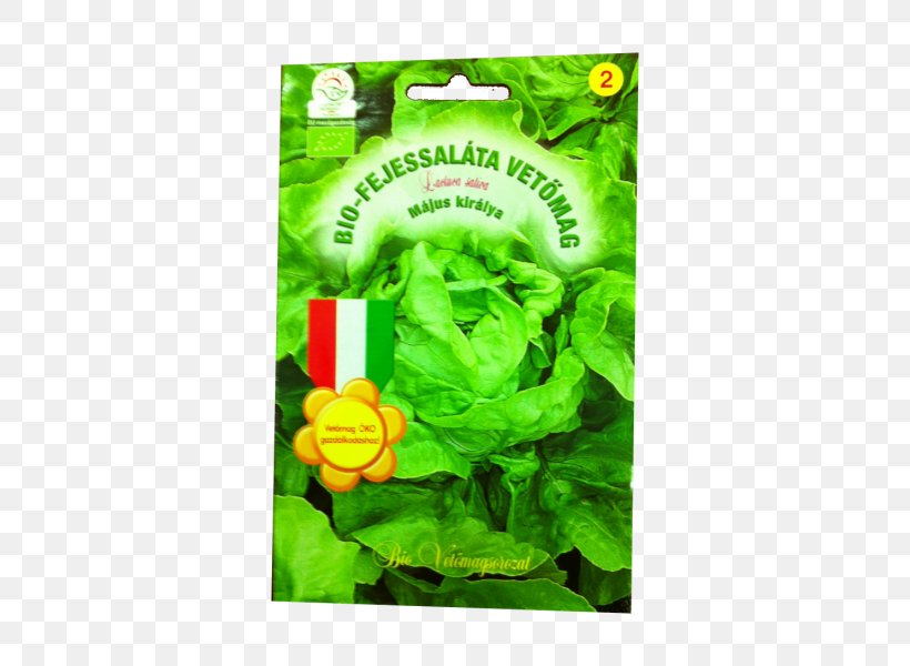 Bok Choy Leaf Vegetable Főzelék Plant Stem, PNG, 600x600px, Bok Choy, Brassica Oleracea, Celery, Chard, Flower Download Free