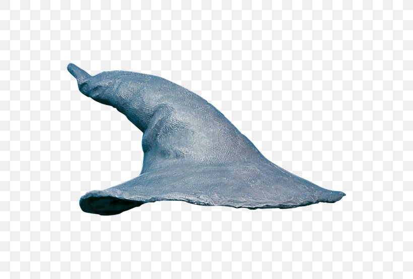 Gandalf Pointed Hat Costume Clothing, PNG, 555x555px, Gandalf, Clothing, Clothing Accessories, Common Bottlenose Dolphin, Costume Download Free